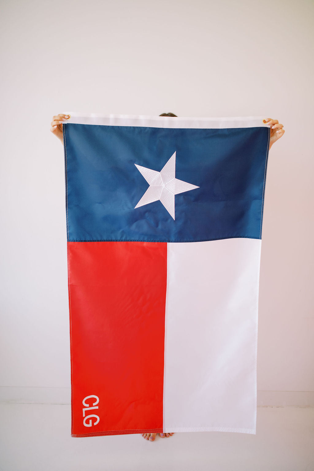 Texas Flag