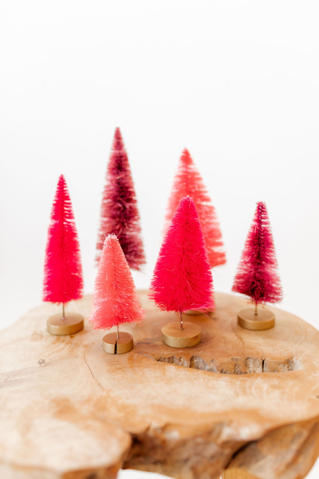 Bottle Brush Trees, Set of 6
