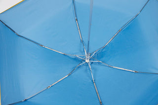 Mini umbrella with case