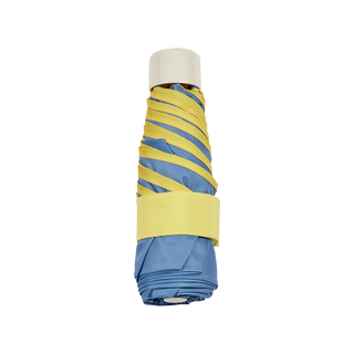 Mini umbrella with case