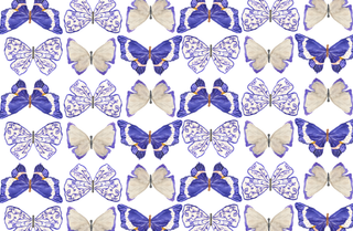 Acrylic Tray CHINOISERIE VOL 2 insert set of 10-Trays-[product_category]-Whatsoever Things