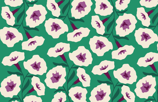 Acrylic Tray FAB FLORAL insert set of 10-Trays-[product_category]-Whatsoever Things