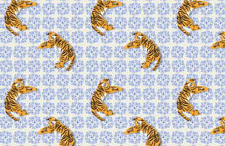 Acrylic Tray CHINOISERIE VOL 2 insert set of 10-Trays-[product_category]-Whatsoever Things