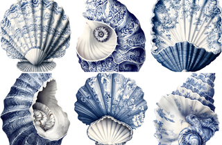 Acrylic Tray CHINOISERIE VOL 2 insert set of 10-Trays-[product_category]-Whatsoever Things