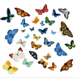 Decorative Acrylic Bowl, Flutter, Petit