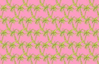 Acrylic Tray PREPPY PLEASE insert set of 10-Trays-[product_category]-Whatsoever Things