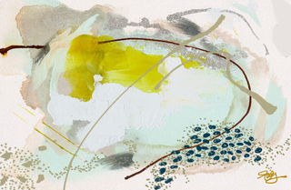 Acrylic Tray JULIE DAILEY VOL 2 insert set of 10-Trays-[product_category]-Whatsoever Things