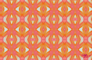 Acrylic Tray JULIE DAILEY VOL 2 insert set of 10-Trays-[product_category]-Whatsoever Things