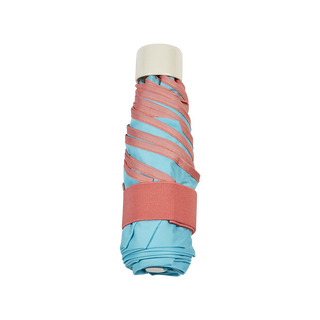 Mini umbrella with case