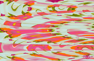 Acrylic Tray JULIE DAILEY VOL 2 insert set of 10-Trays-[product_category]-Whatsoever Things