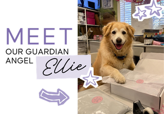 Meet Our Guardian Angel Ellie | Whatsoever Things | Dallas, TX