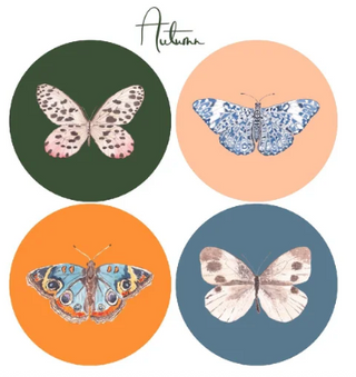 Acrylic Butterfly Coaster Set