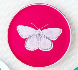 Catherine Cartie Butterfly Acrylic Coaster — Individual