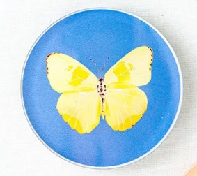 Catherine Cartie Butterfly Acrylic Coaster — Individual