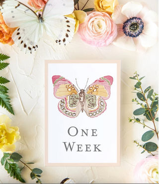 Baby Milestone Cards - Butterflies by Catherine Cartie