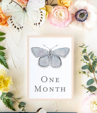 Baby Milestone Cards - Butterflies by Catherine Cartie