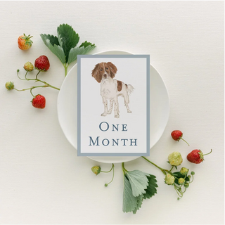 Baby Milestone Cards - Dogs by Catherine Cartie