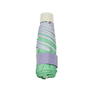 Mini umbrella with case