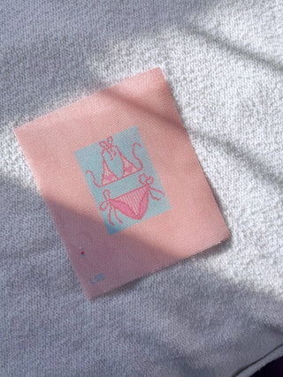 Pink and Blue Bikini So Tini Needlepoint Canvas