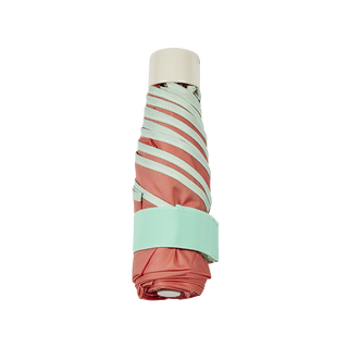 Mini umbrella with case
