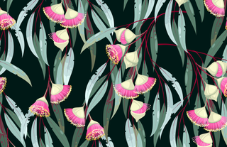 Acrylic Tray FAB FLORAL insert set of 10-Trays-[product_category]-Whatsoever Things