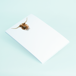 Longhorn Portrait-[product_category]-Whatsoever Things