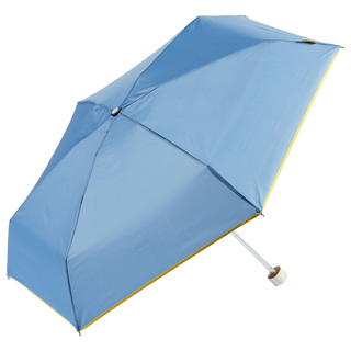 Mini umbrella with case