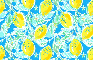 Acrylic Tray PREPPY PLEASE insert set of 10-Trays-[product_category]-Whatsoever Things