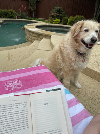 Pool Towels (set of 4)-Towels-[product_category]-Whatsoever Things